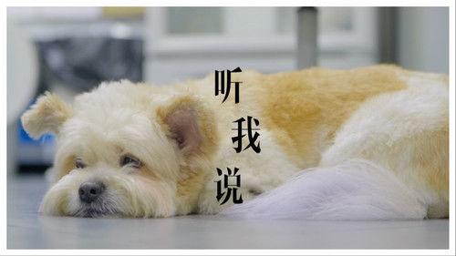 今生，请多指教 Season 3 Episode 1 - Episode 1