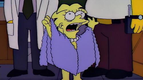 The Simpsons Season 4 Episode 13 - Selma's Choice