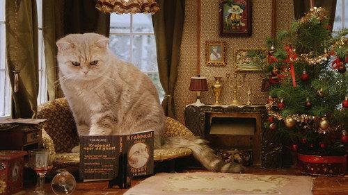 Poesjes Season 2 Episode 12 - Episode 12