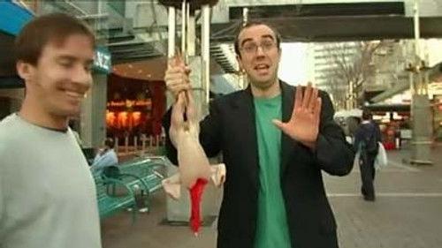 The Chaser's War on Everything Season 1 Episode 17 - Episode 17