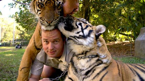 Tigers About the House Season 2 Episode 1 - Episode 1