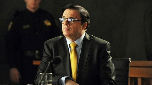 The Good Wife Season 5 Episode 7 - The Next Week