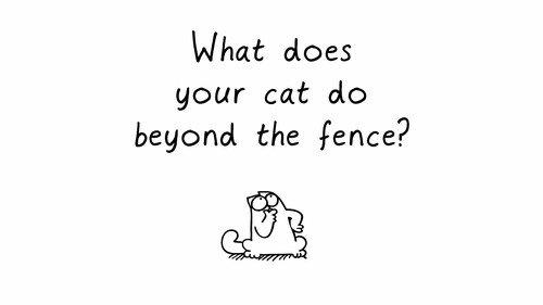 Simon's Cat Season 3 Episode 5 - Beyond the Fence