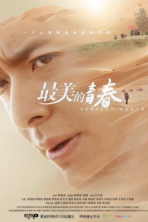 Perfect Youth poster
