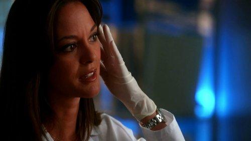 CSI: Miami Season 8 Episode 21 - Meltdown