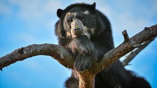 Background image for Episode 3