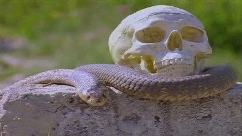 The Adventures of Sinbad Season 1 Episode 10 - Conundrum