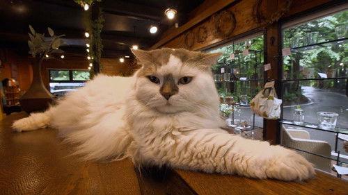 A Cat's-Eye View of Japan Season 3 Episode 17 - Karuizawa: A Relaxing Summer Retreat