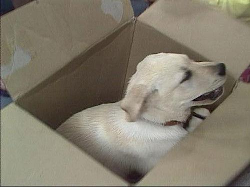 Neighbours Season 3 Episode 18 - Scott, Charlene, and Mike at the Beach