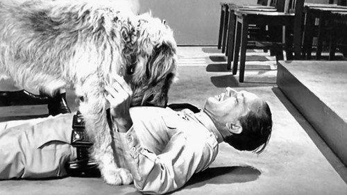 undefined Season 5 Episode 6 - Barney's Bloodhound