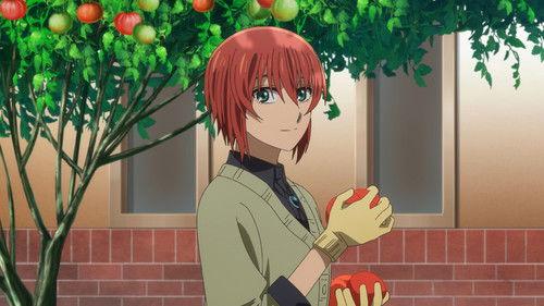 The Ancient Magus' Bride Season 2 Episode 17 - Gather ye rosebuds while ye may.
