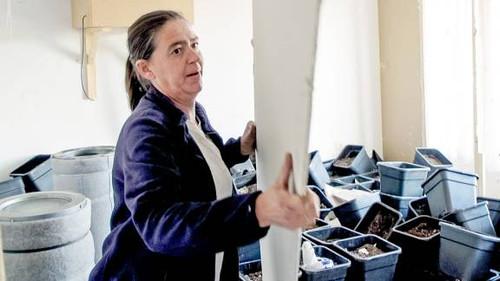 De vuilste jobs van Vlaanderen Season 2 Episode 5 - Episode 5