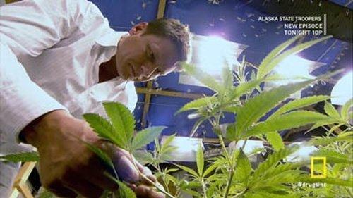 Drugs, Inc. Season 4 Episode 11 - The Drug Makers