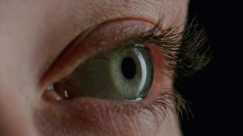 Découverte Season 32 Episode 25 - Episode 25