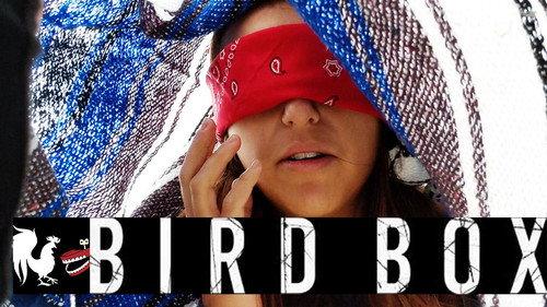 RT Life Season 9 Episode 1 - Bird Box Challenge