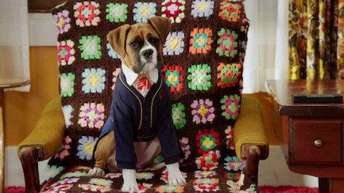 Pup Academy Season 1 Episode 2 - Tell Us About Your Human Day