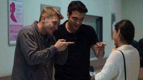 Street Birds Season 2 Episode 32 - Episode 53