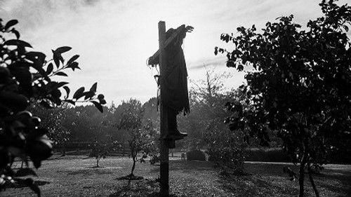 undefined Season 4 Episode 3 - The Scarecrow