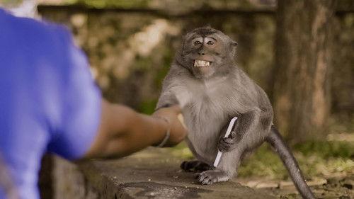 Underdogs Season 1 Episode 4 - The Unusual Suspects