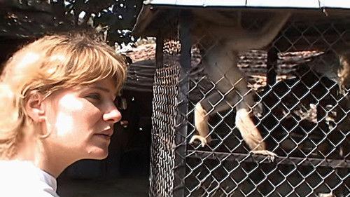 Monkey Business Season 8 Episode 6 - Episode 6