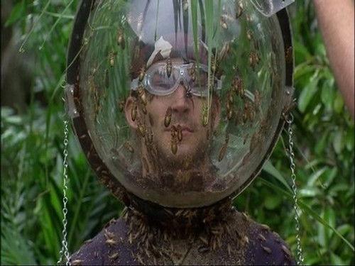 I'm a Celebrity...Get Me Out of Here! Season 14 Episode 20 - Final: Fill Your Face / Bushtucker Bonanza / Drown and Out