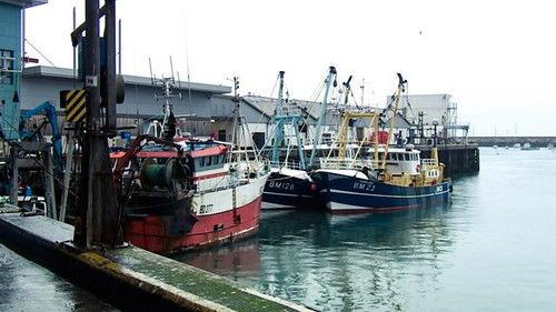 Countryfile Season 33 Episode 18 - Joe's Home Patch