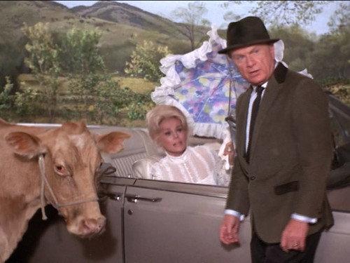 Green Acres Season 4 Episode 7 - A Husband For Eleanor