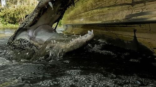 Swamp People Season 16 Episode 1 - Racing the Storm