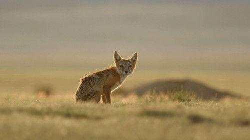 America's National Parks Season 1 Episode 7 - Grand Canyon