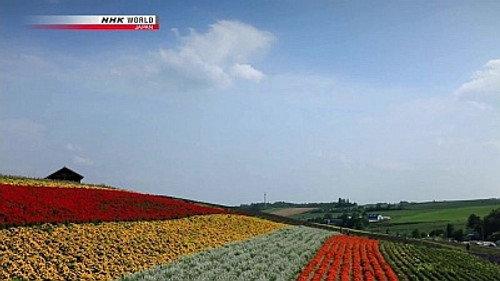 Cycle Around Japan Season 1 Episode 2 - Summer: A Journey Across Hokkaido