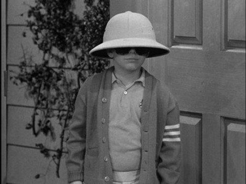 The Dick Van Dyke Show Season 2 Episode 11 - A Bird in the Head Hurts