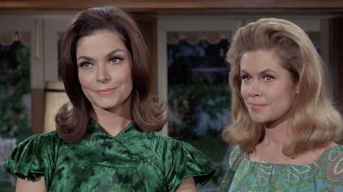 undefined Season 3 Episode 32 - Nobody But a Frog Knows How to Live