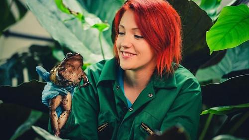 The Secret Life of the Zoo Season 1 Episode 3 - Episode 3