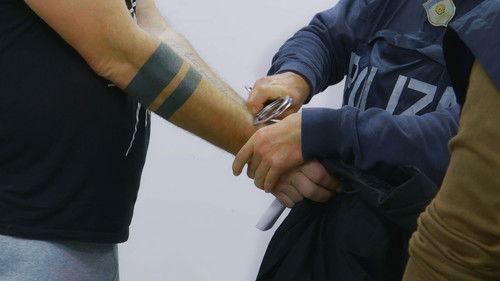 To Catch a Smuggler Season 8 Episode 4 - The promised gift