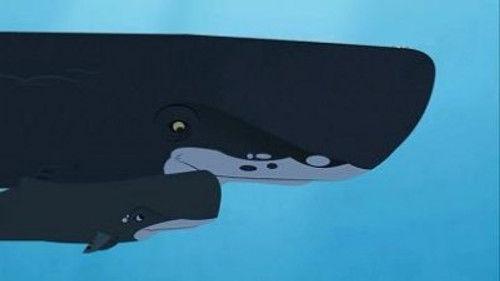 Wild Kratts Season 1 Episode 2 - Whale of a Squid