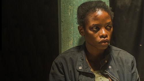 Background image for The New Normal