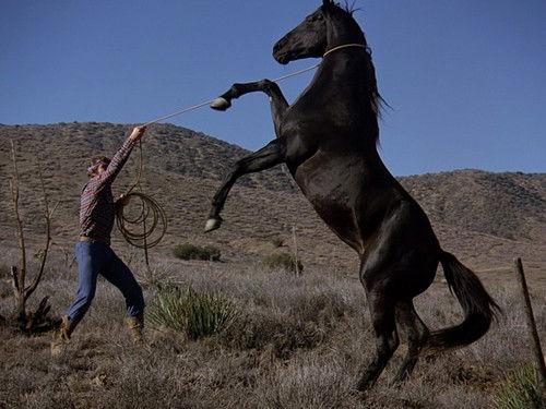 The Six Million Dollar Man Season 4 Episode 21 - To Catch the Eagle