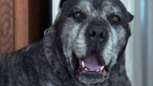 The Haunted Season 1 Episode 18 - Dead in the Water/Curse of the Evil