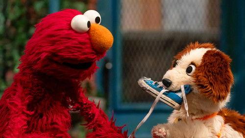 Sesame Street Season 55 Episode 12 - The Wet Dog Wiggles