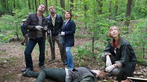 SOKO Wismar Season 7 Episode 6 - Episode 6