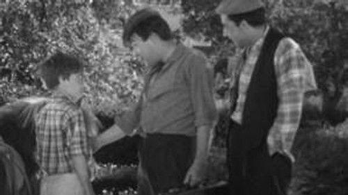 Poly Season 5 Episode 2 - Episode 2