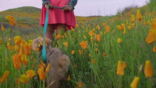 Marvel's Hero Project Season 1 Episode 16 - Genesis the Amazing Animal Ally