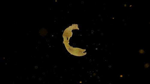 Every Treasure Tells a Story Season 1 Episode 11 - Episode 11