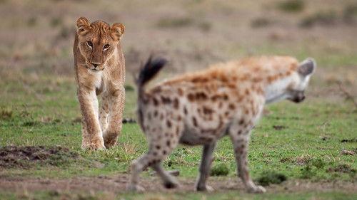 Deadly Instincts Season 1 Episode 6 - Win or Die