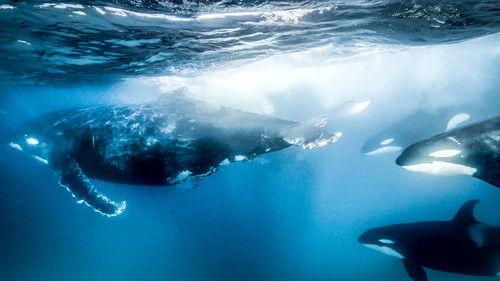 The Hunt Season 1 Episode 1 - The Hardest Challenge