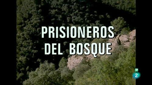 El hombre y la Tierra Season 2 Episode 1 - Prisoners of the forest I