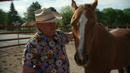 Så mycket bättre Season 13 Episode 4 - Episode 4