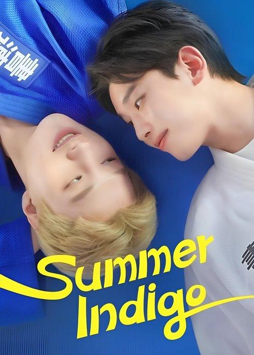 Summer Indigo poster