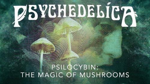 Psychedelica Season 1 Episode 5 - Psilocybin: The Magic of Mushrooms