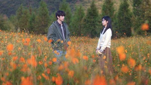 Still Shining Season 1 Episode 8 - Episode 8